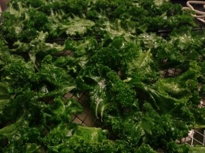 kale photo1 med